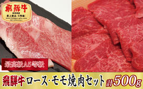 【化粧箱入り・最高級A5等級】飛騨牛ロース・モモ焼肉セット計500g