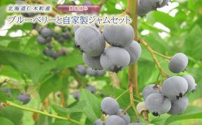 先行予約 農園摘みブルーベリーと自家製ジャムセット 北海道 仁木町産