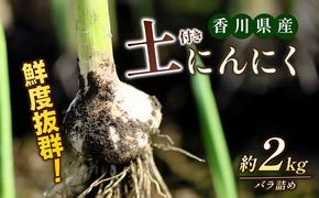 鮮度抜群！土付きにんにく 2kg 野菜 根菜 