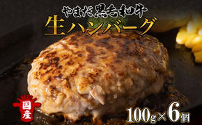 北海道 倶知安町 やまだ黒毛和牛 計600g ハンバーグ ミックス ミンチ ハバキ 100g×3個入×2 黒毛和牛 国産牛 お取り寄せ ご褒美 和牛 A4ランク 牛 羊蹄山 送料無料 冷凍 ニセコファーム しりべしや