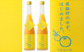 ゆず梅酒　500ml×2本　＜篠崎＞