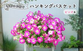 花 季節のお花でハンキングバスケット ピンク系 植物 ガーデニング ガーデン インテリア