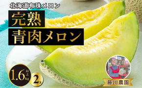 北海道産 有珠メロン 2玉 セット 青肉 Lサイズ 1.6kg以上×2玉 ツル付き グリーンメロン 果物 めろん フルーツ くだもの 完熟 旬 ご褒美 ギフト お祝い 産地直送 お取り寄せ 北海道 藤川農園 送料無料 伊達