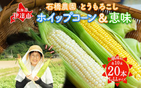  北海道 朝もぎ とうもろこし 恵味 ホイップコーン 各10本 計20本 L-LL サイズ 黄色 白色 トウモロコシ 黄 白 とうきび コーン 旬 完熟 甘い お取り寄せ 産地直送 北海道産