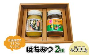 はちみつ セット 各500g×2個 レンゲブレンド 野山のハチミツ 詰め合わせ 食べ比べ 蜂蜜 ハチミツ