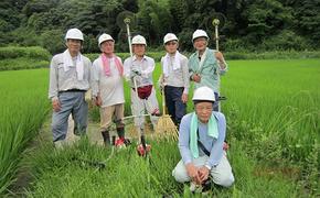 【令和6年 新米10kg×3袋（玄米）】有機肥料で愛情いっぱいに育てた「こしひかり」