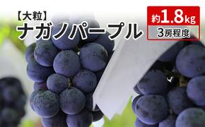 ナガノパープル 約1.8kg 3房程度 長野 坂城町産 ぶどう K＆Y農園 ブドウ フルーツ 果物 果物類 