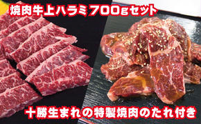 牛上ハラミ（サガリ）700g タレ付き焼肉セット【 牛肉 豚肉 焼き肉 惣菜 冷凍 北海道 十勝 幕別 ふるさと納税 送料無料 】