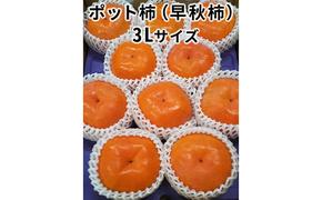 こだわり栽培ポット柿（早秋柿） 3Lサイズ9個入り｜果物類 かき ※離島への配送不可 ※2025年10月中旬～11月上旬頃に順次発送予定