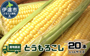 【2025年 発送 】 先行予約 北海道 伊達 産 とうもろこし イエロー 種 20本 L-LL サイズ スイートコーン 甘い 新鮮 産地直送