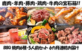 【6カ月連続】エンジョイ！BBQセット　～焼肉6種　5人前コース～