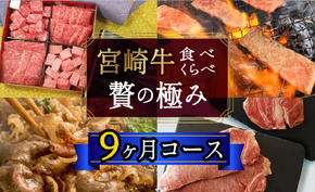 9回 定期便 宮崎牛 食べ比べ 贅の極み 9ヶ月 コース 合計 5.48kg [SHINGAKI 宮崎県 美郷町 31ag0086] 牛肉 宮崎牛 希少 部位 焼肉 鉄板焼き ステーキ 黒毛 和牛 国産 宮崎 A4 A5等級 牛 宮崎県産 冷凍 送料無料 ブランド 牛 肉 霜降り BBQ バーベキュー キャンプ ギフト プレゼント