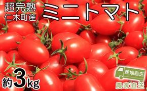 [先行受付] 超完熟ミニトマト【アイコ】3kg 北海道 仁木町［アイコファーム］【 トマト ミニトマト アイコ 野菜 】