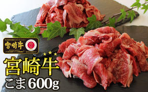 【宮崎牛】こま肉 300g×2パック 計600g [SHINGAKI 宮崎県 美郷町 31ag0060] 牛肉 小間 冷凍 内閣総理大臣賞受賞 宮崎県産 九州産 送料無料 肉じゃが 牛丼 野菜炒め 小分け