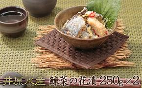 漬物 北海道 にしん 菜の花漬 250g×2 セット 井原水産 漬魚 漬け物 小分け 数の子 菜の花 魚 海産物 海の幸 魚介 魚介類 おかず 惣菜 おつまみ つまみ 酒の肴 お酒のあて お酒のお供 ごはんのお供 菜の花漬け ニシン 鰊 冷凍 留萌 留萌市