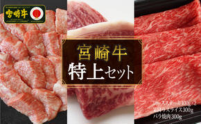 【宮崎牛】特上セット ロース ステーキ 100g×2 & 霜降り スライス 300g & 牛バラ焼肉 300g 計800g [SHINGAKI 宮崎県 美郷町 31ag0066] 牛肉 焼肉 鉄板焼き 黒毛 和牛 国産 宮崎 A4 A5等級 牛 宮崎県産 冷凍 送料無料 ブランド 牛 肉 霜降り BBQ バーベキュー キャンプ