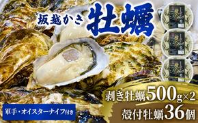  牡蠣 坂越かき 剥き牡蠣 500g×2、殻付き牡蠣 36個 軍手・オイスターナイフ付き[ 生牡蠣 かき カキ 生食 冬牡蠣 ]