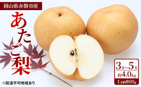 梨 2024年 先行予約 あたご梨 3玉～5玉 約4.0kg（1玉約800g）岡山県赤磐市産【配達不可：離島】 なし フルーツ 果物