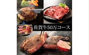 BN038　訳あり　定期便　50万コース（佐賀牛、味付け牛タン、贅沢6回定期便）