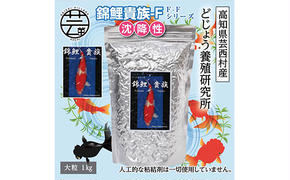 KGC034　錦鯉貴族 F 1kg 沈降性 ＜最高級 フィッシュフード EPA・DHA配合 大粒 魚 餌＞【餌 えさ エサ】【観賞魚 餌やり】【水槽/熱帯魚/観賞魚/飼育】【生体】【アクアリウム/あくありうむ】