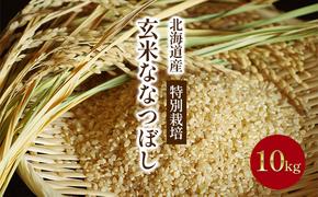 【入金確認後、最短7日発送】令和6年産米 北海道産特別栽培玄米ななつぼし 10kg(5kg×2袋) ※10月中旬・新米からお届け｜北海道 滝川市 米 お米 ご飯 玄米 特別栽培 特別栽培米 ななつぼし ナナツボシ 新米