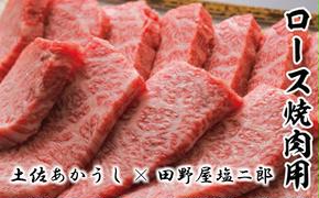 【四国一小さなまち】土佐あかうしロース焼き肉用800g田野屋塩二郎の完全天日塩（肉用）