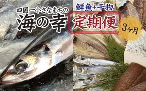 【四国一小さなまちの海の幸】～旬の朝どれ鮮魚と土佐の干物セット～ カネアリ水産の海の定期便3ヶ月 季節 四季 鮮魚 加工食品 干物 ちりめんじゃこ カツオ サバ 金目鯛 カンパチ 朝どれ 冷凍 冷蔵