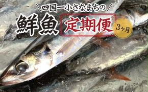 【四国一小さなまちの鮮魚】～海の幸～旬の朝どれ鮮魚セット カネアリ水産の鮮魚定期便３ヶ月 季節 四季 旬 春 夏 秋 冬 鮮魚 カツオ サバ 金目鯛 カンパチ 魚 海鮮 冷蔵