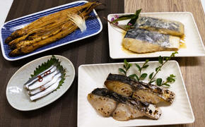 瀬戸内海産 地物 詰合せ 【配達不可：離島】 あなご 鰆 鯛 ままかり 加工食品