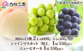 桃 ぶどう 2025年 先行予約 白桃 2玉 合計約600g （1玉約300g） シャインマスカット 晴王  1房 550g以上 もも 葡萄 詰合せ 岡山 国産 フルーツ 果物 ギフト 桃茂実苑 