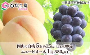 桃 ぶどう 2025年 先行予約 白桃 5玉 合計約1.5kg （1玉 約300g） ニュー ピオーネ 1房 550g もも 葡萄 詰合せ 岡山 国産 フルーツ 果物 ギフト 桃茂実苑 