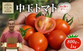 トマト 中玉 800g～1kg よしよし畑のあま～いトマト とまと 季節の野菜 旬の野菜 新鮮 農家直送 夏野菜 野菜 お届け：2024年11月中旬～2025年5月下旬