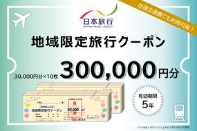 日本旅行　地域限定旅行クーポン【300，000円分】