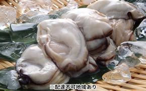 秀栄水産 瀬戸内の 牡蠣 （むき身 500g×2） 海の幸 海のミルク 海鮮 貝 岡山県 瀬戸内市 虫明湾 魚介類 カキ 1kg 