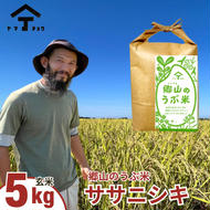 郷山のうぶ米 ササニシキ 玄米 5kg 秋田県産 令和6年産