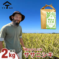 郷山のうぶ米 ササニシキ 精米 2kg 秋田県産 令和6年産