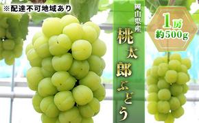 ぶどう 2025年 先行予約 桃太郎 ぶどう 1房 約500g ブドウ 葡萄  岡山県産 国産 フルーツ 果物 ギフト 