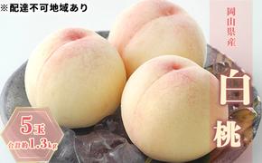 桃 2025年 先行予約 白桃 5玉 合計約1.3kg もも モモ 岡山県産 国産 フルーツ 果物 ギフト