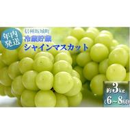 【11・12月発送】冬に味わう！冷蔵貯蔵シャインマスカット 約3kg (6～8房) 長野 信州 坂城 冷蔵シャイン 産地直送 宮原農園　 年内発送