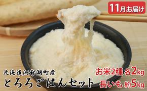 北海道 洞爺湖町産 とろろ ごはん セット お米2種 各2kg 長いも 約5kg 11月15日～30日頃にお届け 北海道産 秋 旬 野菜 農作物 長芋 ごはん ゆめぴりか 産地直送 送料無料 洞爺湖町