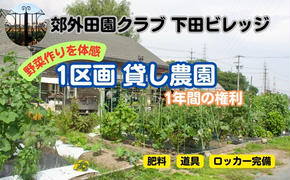 下田ビレッジ農園1年ご利用券