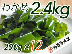 しゃきしゃき 湯通し塩蔵わかめ 2.4kg （200g×12パック） 国産 三陸産 海野海藻店 わかめ