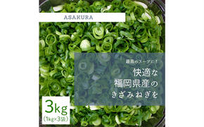 野菜 カット ねぎ 3kg（1kg×3袋）長ネギ 配送不可エリア有り