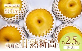 梨 新高梨 甘熟 味に自信あり！！約2.5kg 3～5玉入 配送不可 離島 ナシ 果物 フルーツ 先行予約 