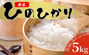 米 2025年度産 新米 ひのひかり 5kg 筑前あさくら農協 お米 ヒノヒカリ 