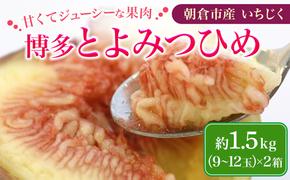 いちじく 2025年発送 博多 とよみつひめ 1.5kg 柔らかな食感 最高レベルの糖度 あふれる果汁 筑前あさくら農協 配送不可 離島※オンライン決済