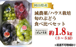 ぶどう 2025年 先行予約 旬のぶどう食べ比べセット 約1.8kg 3～5房 減農薬／ハウス栽培 ブドウ 葡萄  岡山県産 国産 フルーツ 果物 ギフト ばんの農園