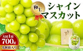 極上 シャインマスカット 大房 700g 1房 化粧箱  マスカット 葡萄 ぶどう ブドウ フルーツ 果物 くだもの 果実 旬の果物 旬のフルーツ 贈答用 ギフト プレゼント 香川 香川県 東かがわ市