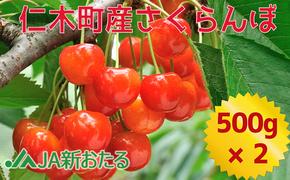 北海道 仁木町産 7月旬 さくらんぼ 1kg【JA新おたるの生産者厳選】