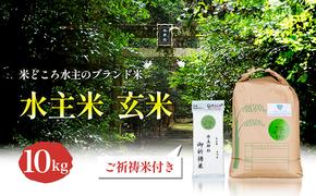 エコファーマー認定農家の地域ブランド米(水主米)令和6年新米　玄米10kg【水主神社ご祈祷米付き】